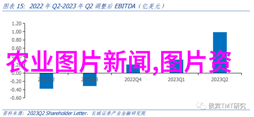 养蜂技巧如何高效地养殖蜂群