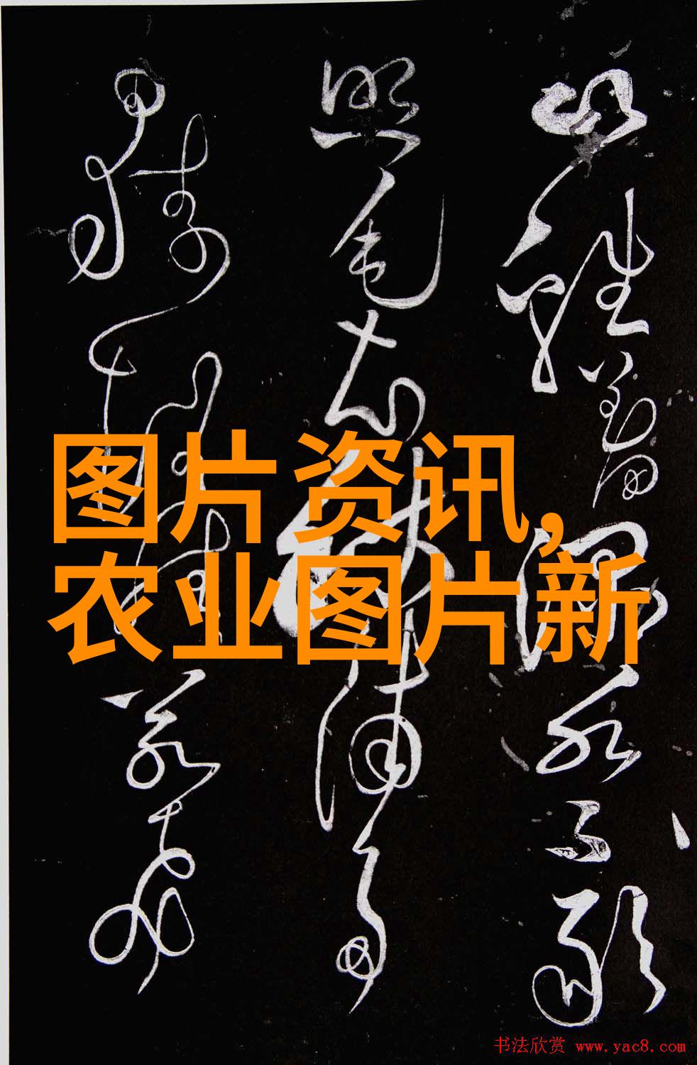 宝宝的扇贝夹C技巧大公开探秘视频背后的故事