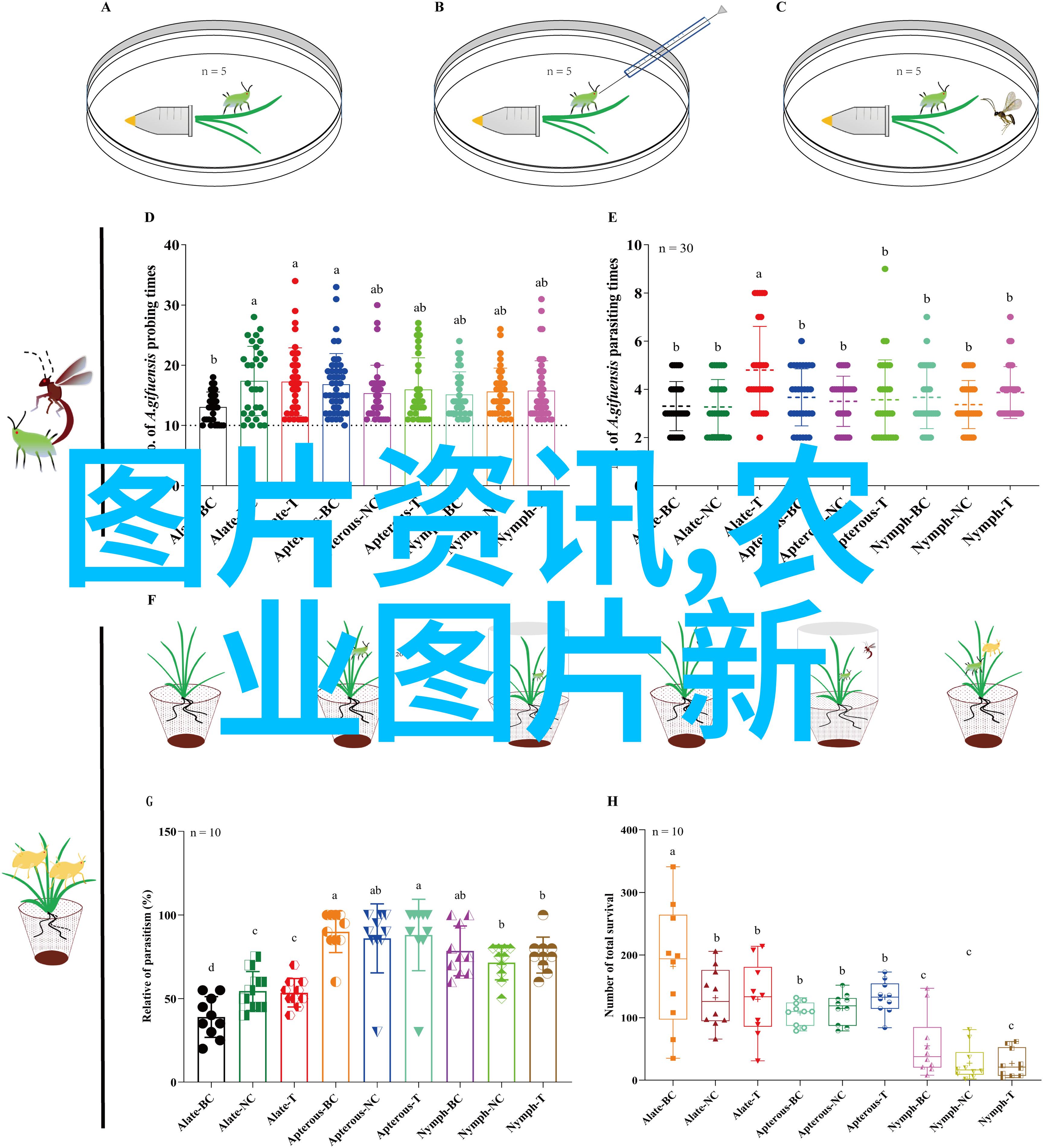 牛瘤胃鼓气治疗方法是什么羊粪一吨多少钱在寻找适合的物品时我们需要了解不同疗法的成本